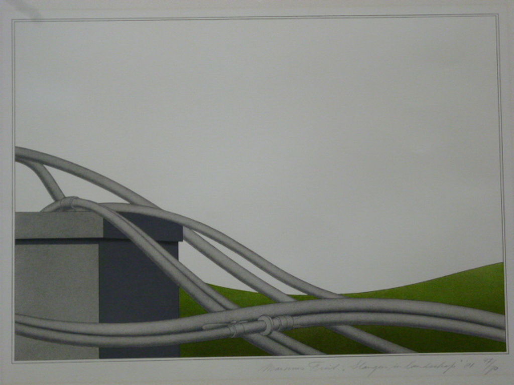 Marinus Fuit - kleurenlitho - Slangen in landschap verkocht voor € 60!