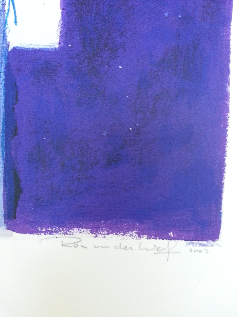 Ron van der Werf, zeefdruk, titel  kopen? Bied vanaf 30!