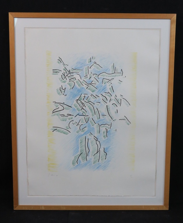 Jaap Hillenius: Litho, Z.T. - Ingelijst verkocht voor € 45!