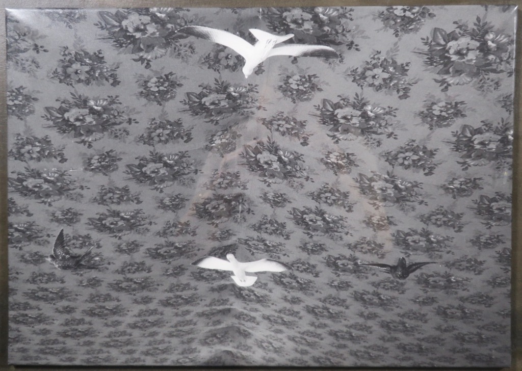 Paul Bogaers: Foto, Z.T. - Ingelijst verkocht voor € 80!