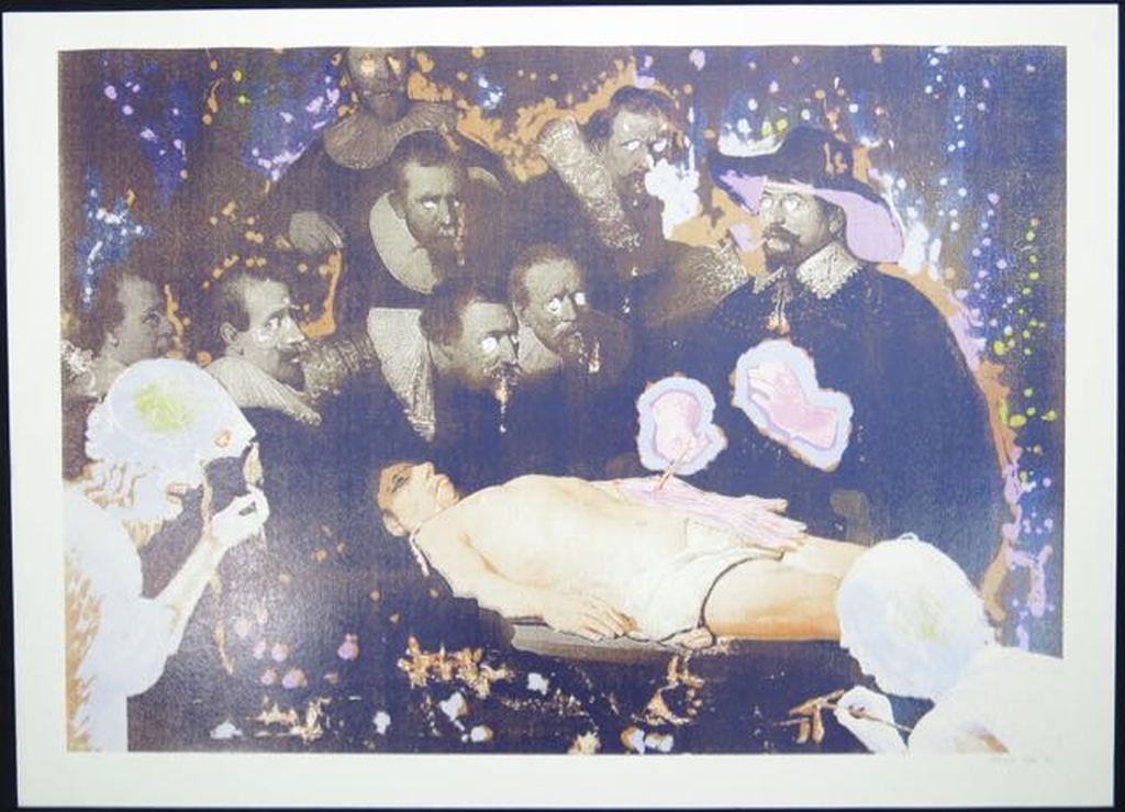 Rob Birza: Zeefdruk, De anatomie les kopen? Bied vanaf 60!