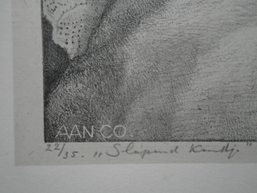 Aart van Dobbenburgh - litho - Slapend kindje  kopen? Bied vanaf 25!