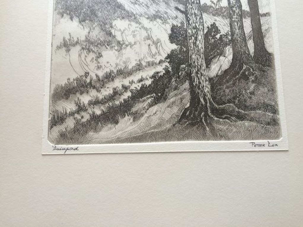 Peter Cox 1912 -1985 kopen? Bied vanaf 30!