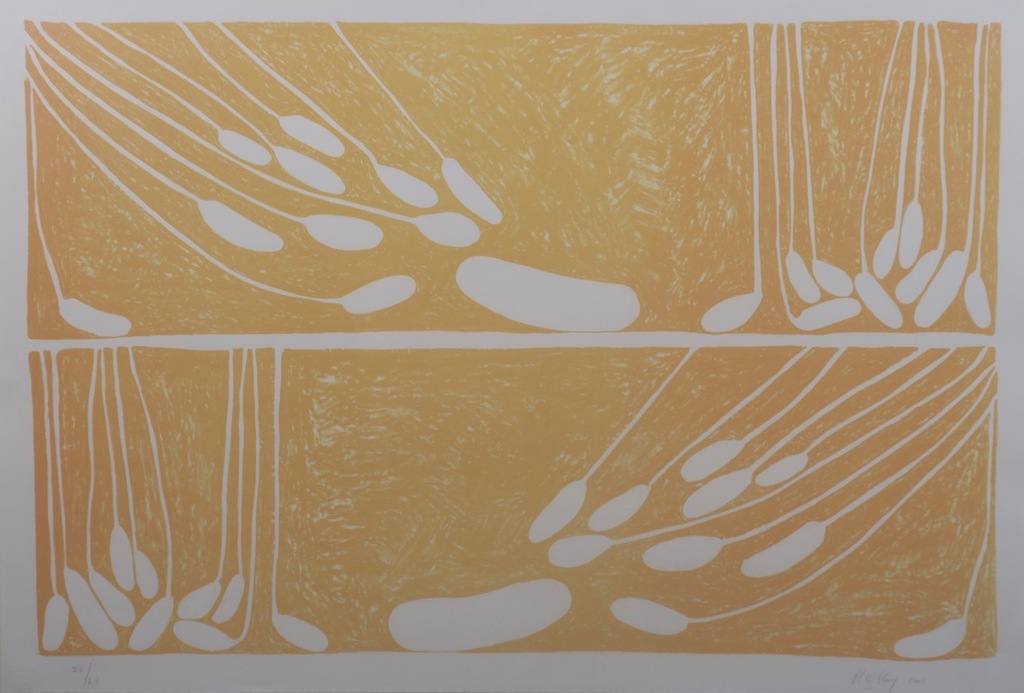 Hans Hovy: Litho, Lange prent - Ingelijst kopen? Bied vanaf 20!