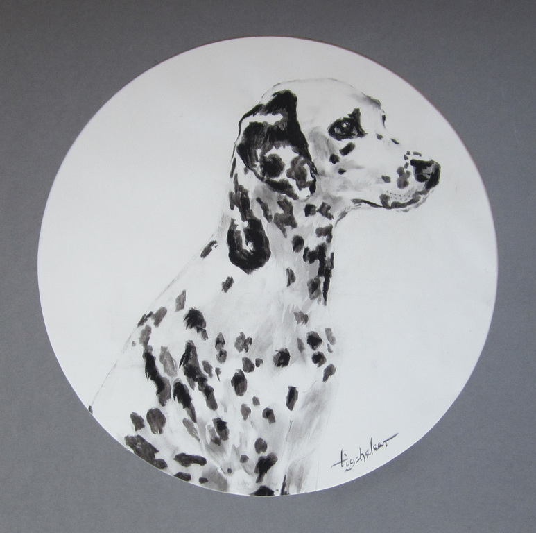 André Tigchelaar: Houtskool tekening van dalmatiër kopen? Bied vanaf 1!