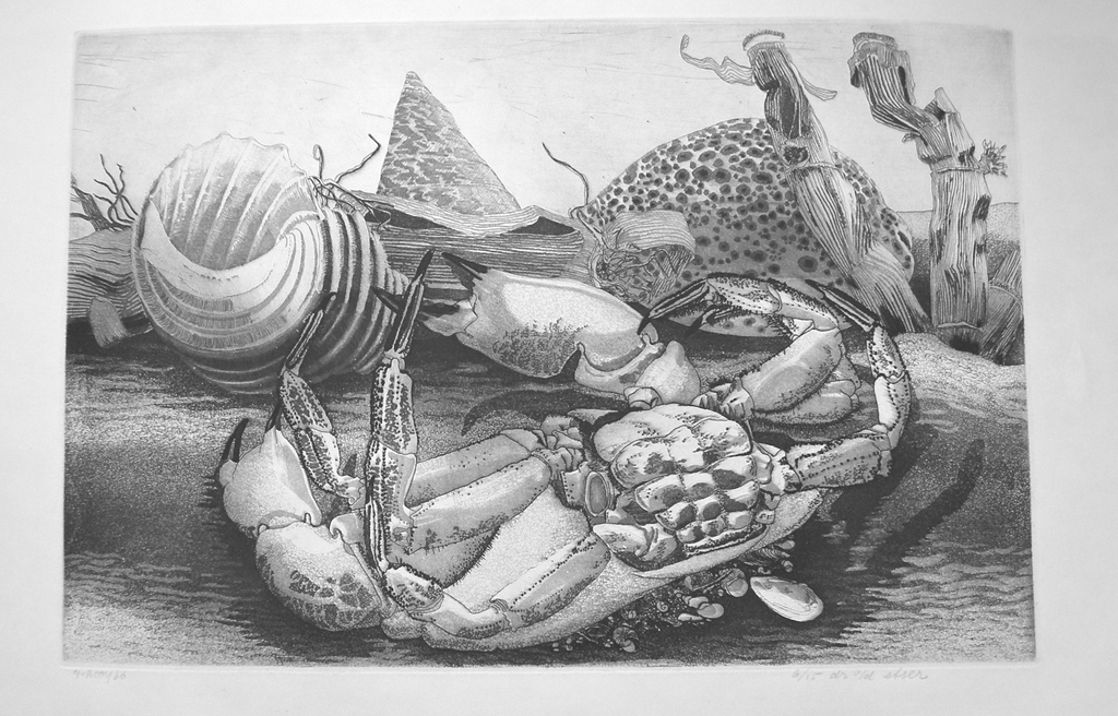 Gerard van Rooy, ets en aquatint: Krab kopen? Bied vanaf 30!