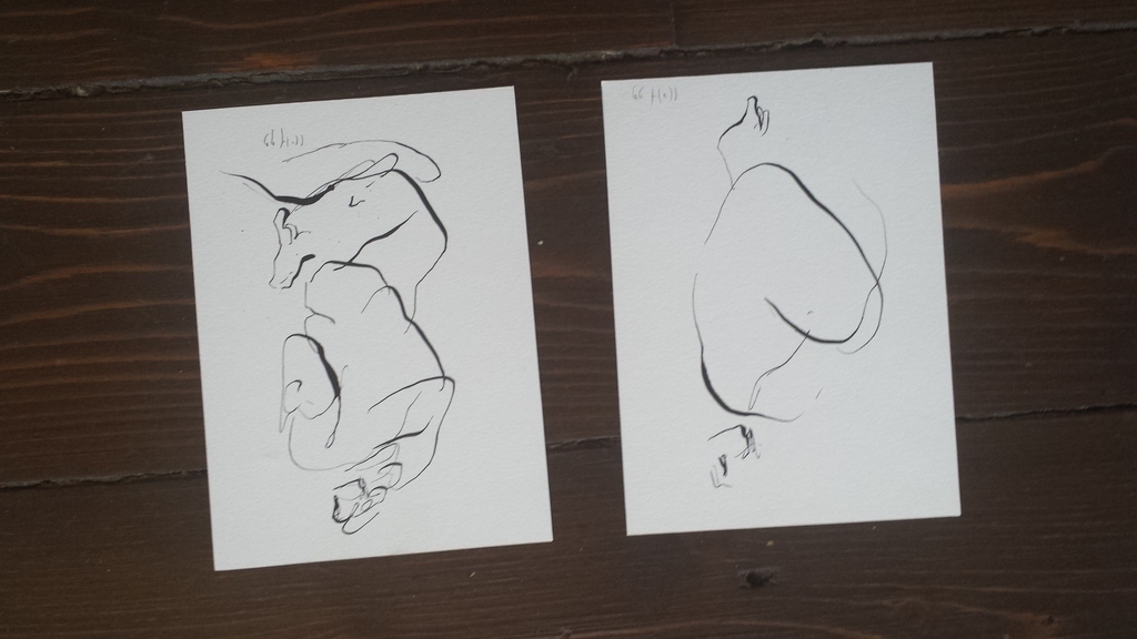 Chris van Harskamp kopen? Bied vanaf 1!