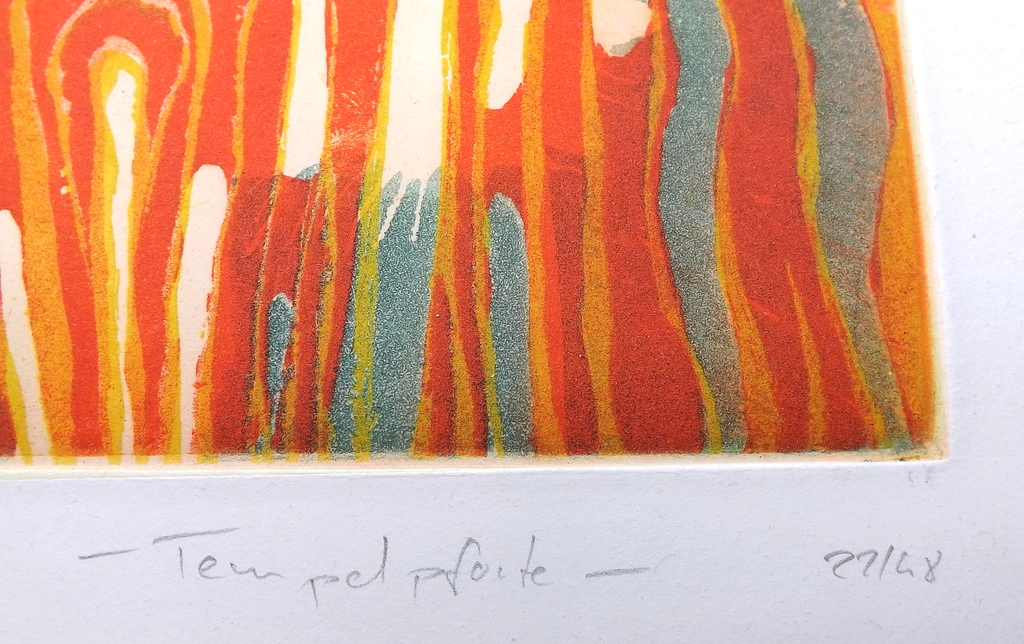 Haas Willibrord: kleurenets  kopen? Bied vanaf 1!