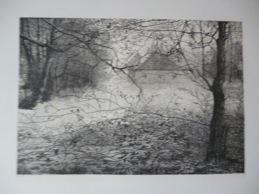 Reinder Homan - ets - Erf verkocht voor € 100!