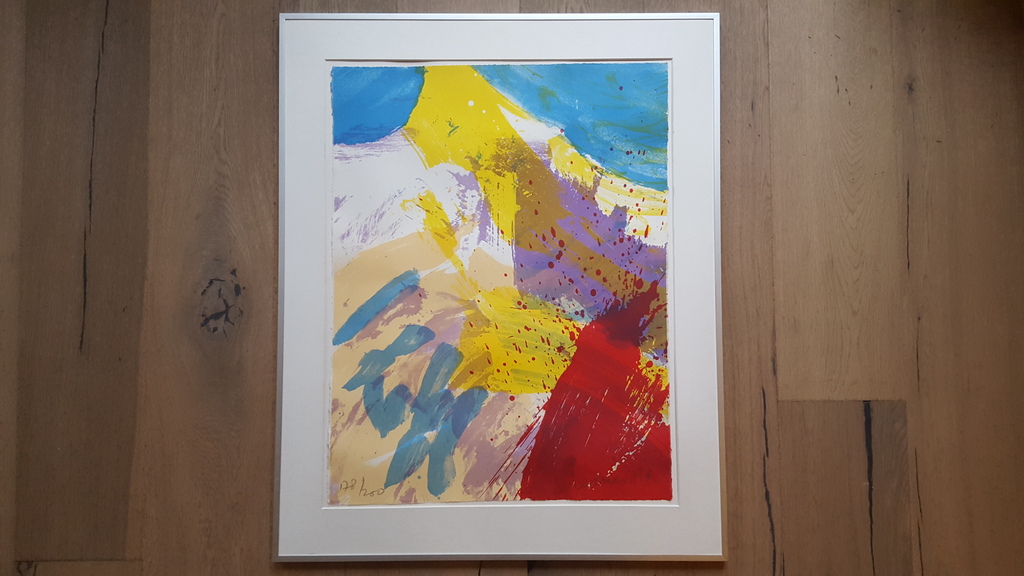 Jan Cremer - kleurenlitho 178/200, handgesigneerd, genummerd en  kopen? Bied vanaf 95!