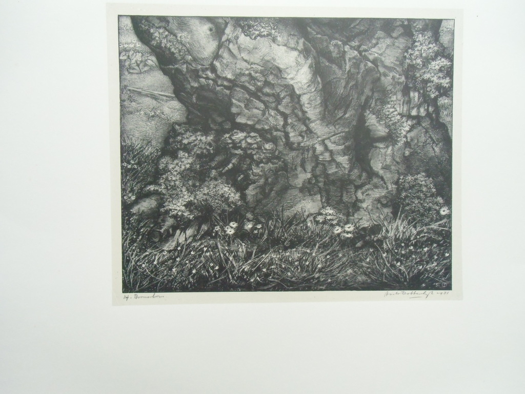 BOOMSCHORS   ///   LITHO VAN AART VAN DOBBENBURGH kopen? Bied vanaf 30!