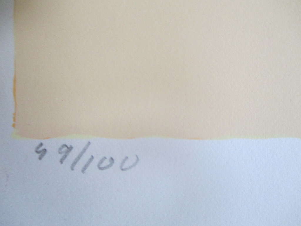 LAATSTE KEER!Henk van Vessem, zeefdruk 1996, perfecte staat kopen? Bied vanaf 30!