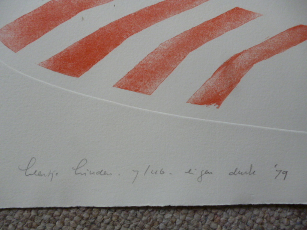 Leentje Linders - kleurenets - Then came Fittipaldi part one kopen? Bied vanaf 25!