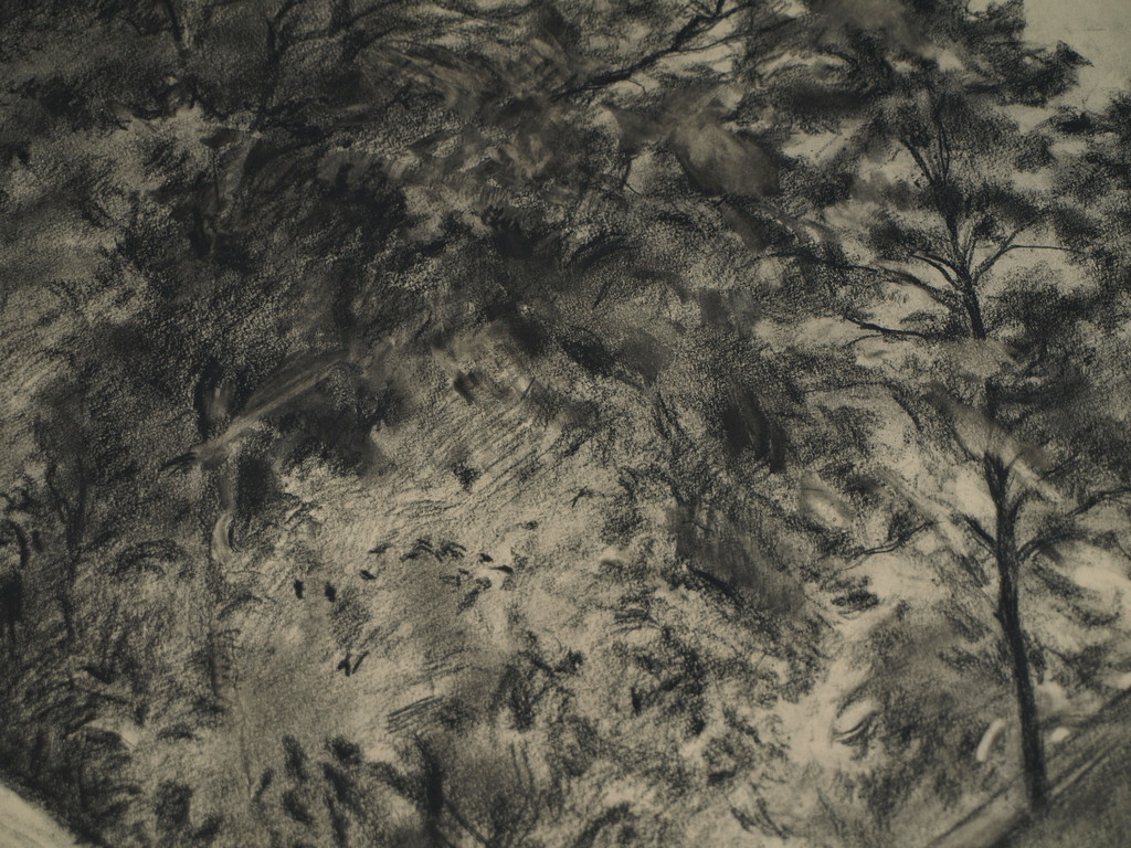 CEES BOLDING (1897-1979) – Tekening – Linde in de Achterhoek –Gesigneerd–ca 1950 kopen? Bied vanaf 25!