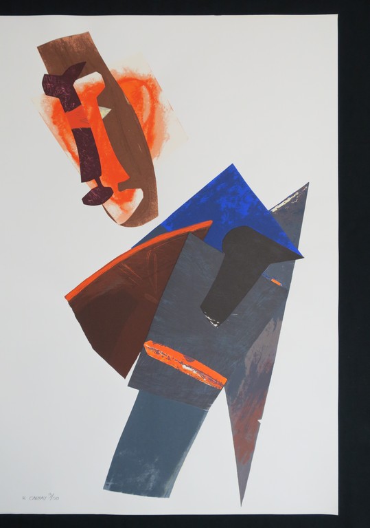 Kaa Carpay: Zeefdruk, Z.T. kopen? Bied vanaf 1!