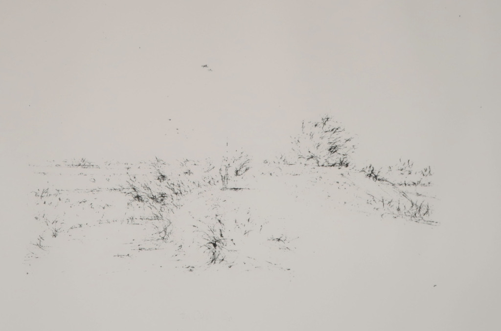 Willem den Ouden: Litho, Z.T. landschap kopen? Bied vanaf 1!