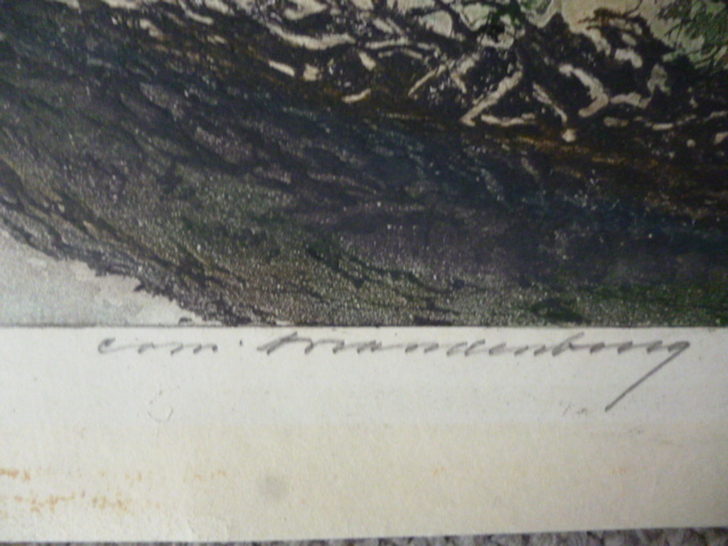 Cornelis Brandenburg - kleurenets - Tulpenveld kopen? Bied vanaf 140!