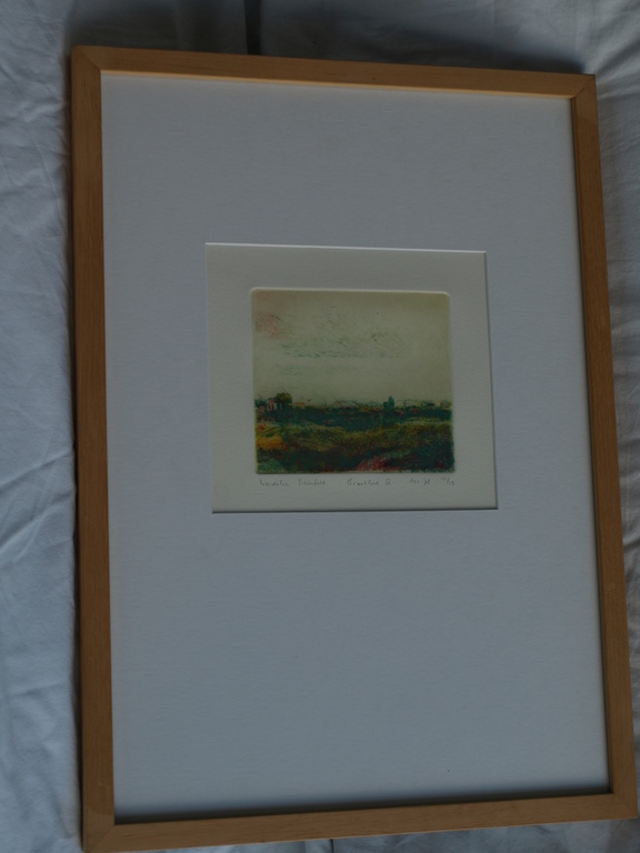 Wendelien Schönfeld : Kleurenets –Braakland III – gesigneerd & ingelijst - 1978  kopen? Bied vanaf 1!