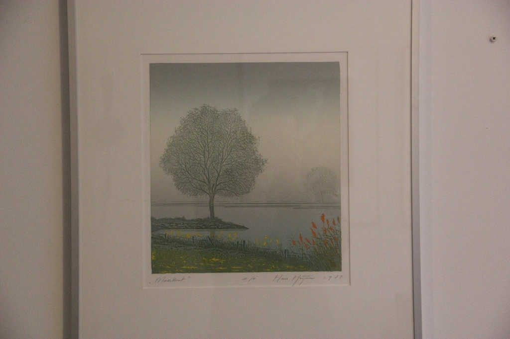 kleurenets ,van Hans Heijman verkocht voor € 69!