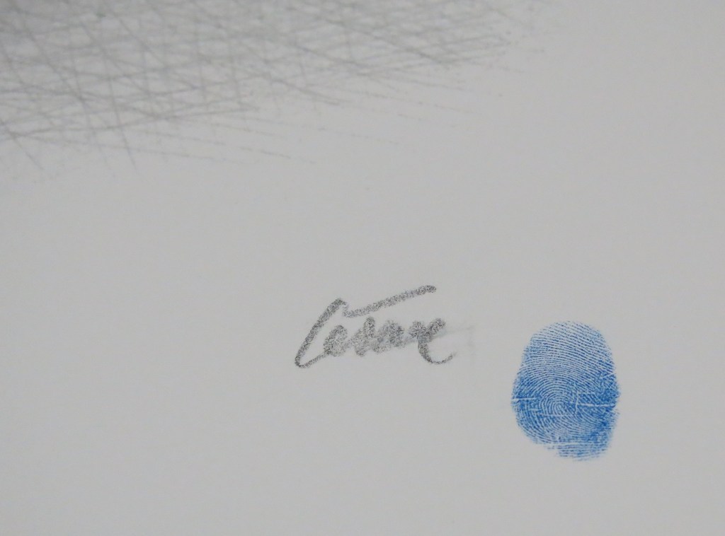 Cesar: Zeefdruk, Portrait de compression de drapeaux Suedois kopen? Bied vanaf 120!