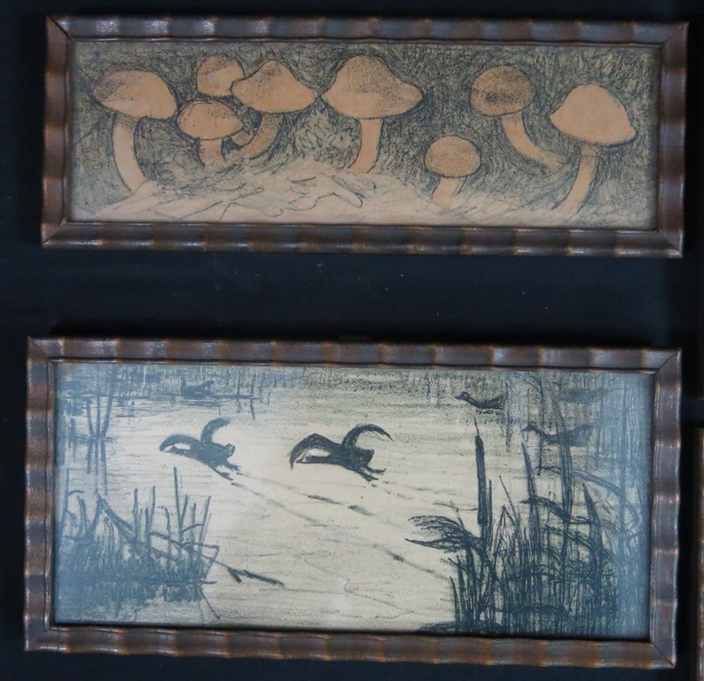 Theo van Hoytema: 9 litho's, Dieren, Planten en Vogels -Ingelijst  kopen? Bied vanaf 1!