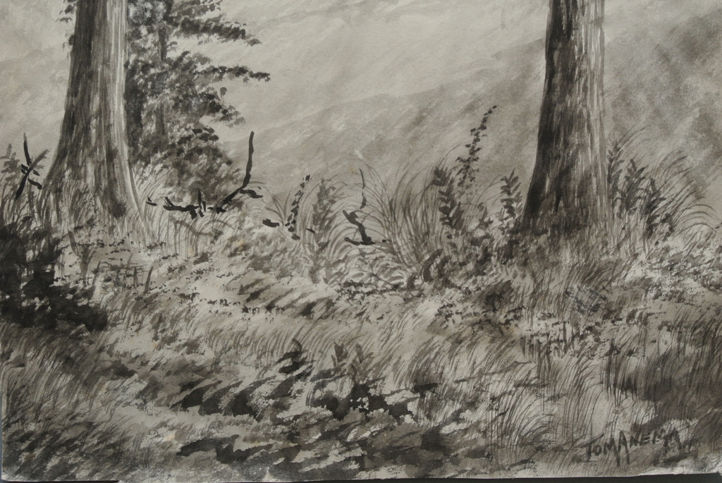 TOM ANEMA. Mooie Aquarel “In de Oostenrijkse bergen”. Handgesigneerd. kopen? Bied vanaf 1!