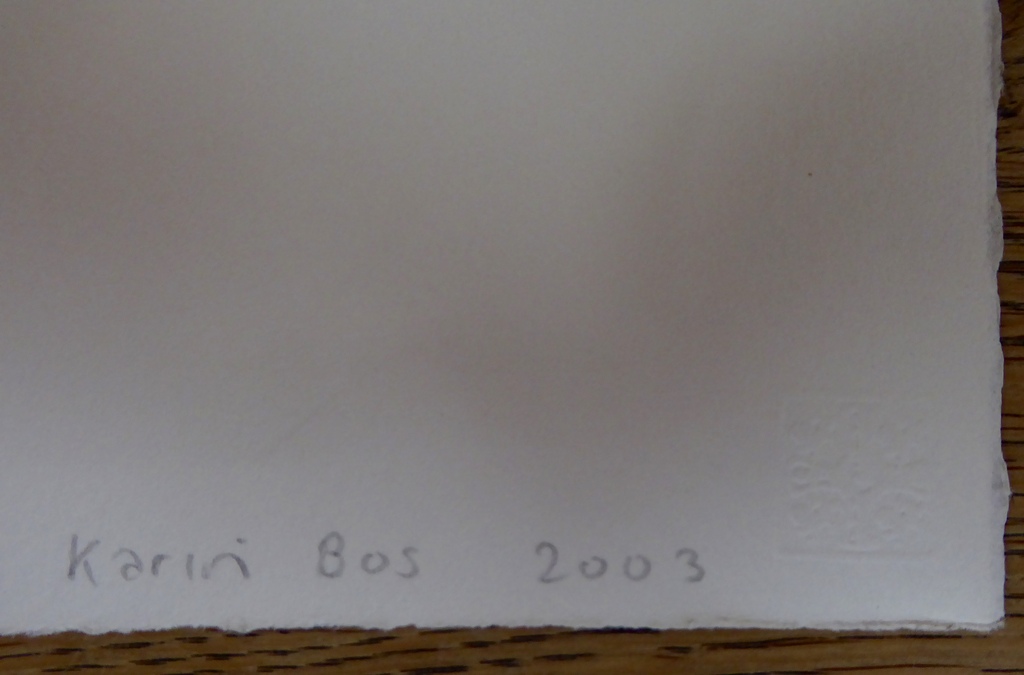 Litho van Karin Bos uit 2003. kopen? Bied vanaf 1!