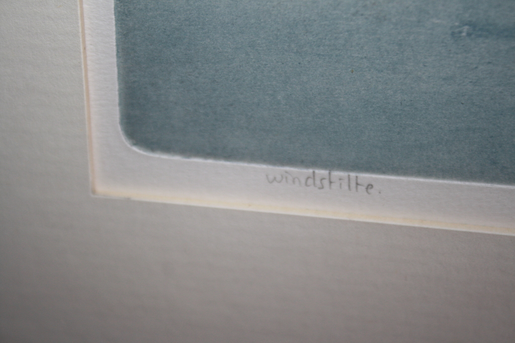 GUUS KUIT BARNEVELD - WINDSTIL / KLEURENETS kopen? Bied vanaf 1!