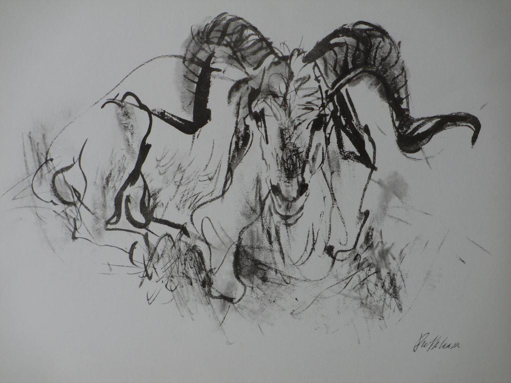 Piet Klaasse, Rambok, Litho kopen? Bied vanaf 1!