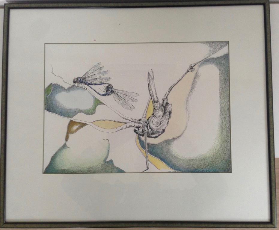 Nol Kok, pentekening, Libelle, 1989 kopen? Bied vanaf 195!