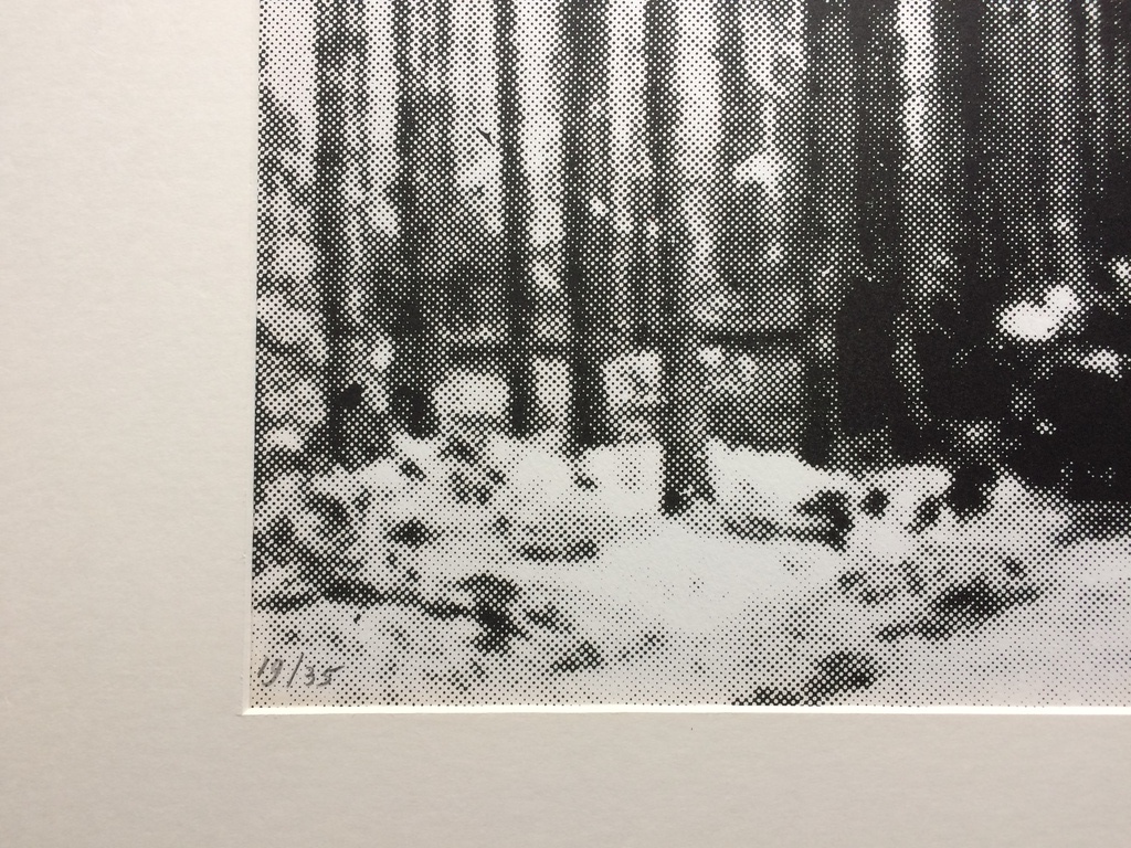 Armando, zeldzame foto-litho Schuldige Landschaft in nieuwe lijst 19/35 kopen? Bied vanaf 350!