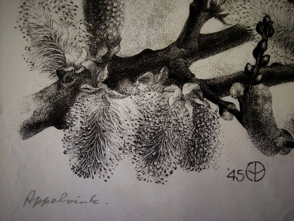 Magnifiek Grafisch werk van A van Dobbenburgh "Appelvink" gesigneerd 1945 kopen? Bied vanaf 1!