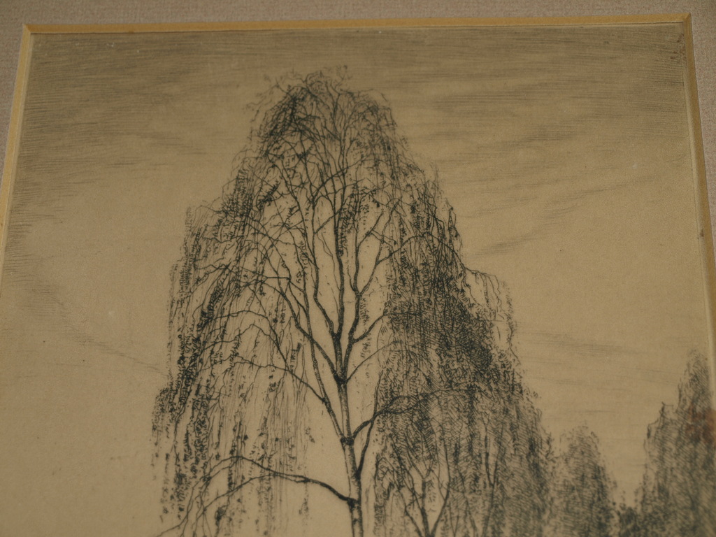 Onduidelijke signatuur: Ets – Landschap met bomen – Ingelijst - Oud kopen? Bied vanaf 40!