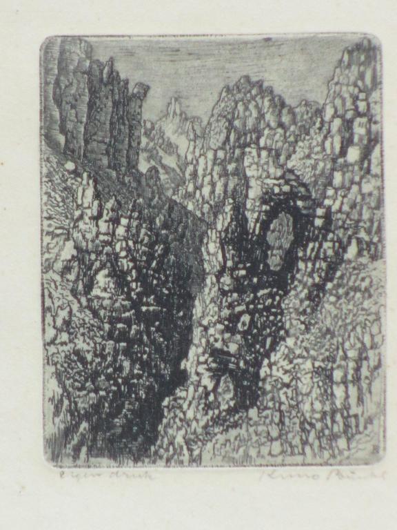 Kuno Brinks, Ets, Dolomieten II kopen? Bied vanaf 1!