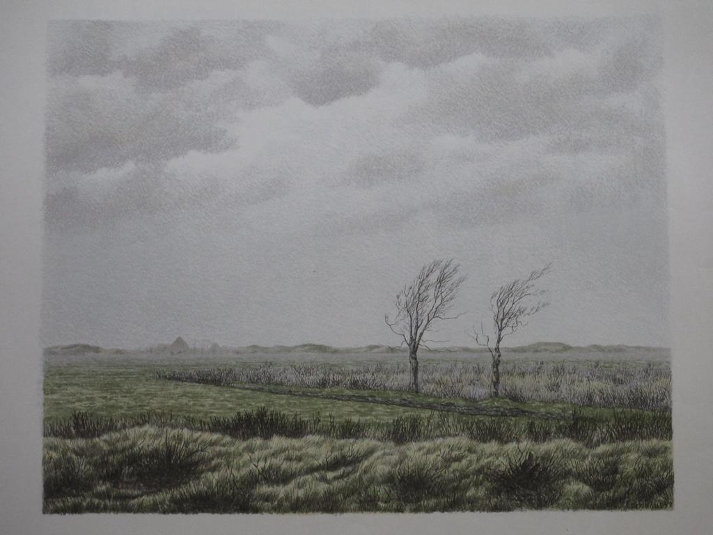 Edgar Fernhout, Noord Hollands landschap, Kleurenlitho kopen? Bied vanaf 1!