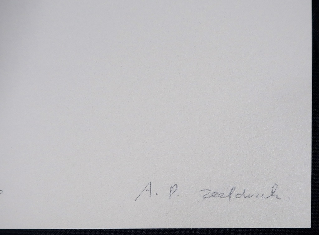 Peter Jordaan: Zeefdruk, Zonder titel kopen? Bied vanaf 1!