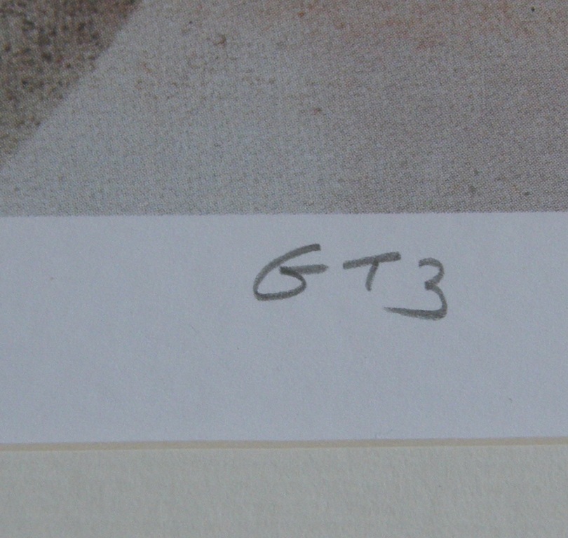 Viviane Klagsbrun: zeefdruk, genummerd en potlood gesigneerd kopen? Bied vanaf 15!