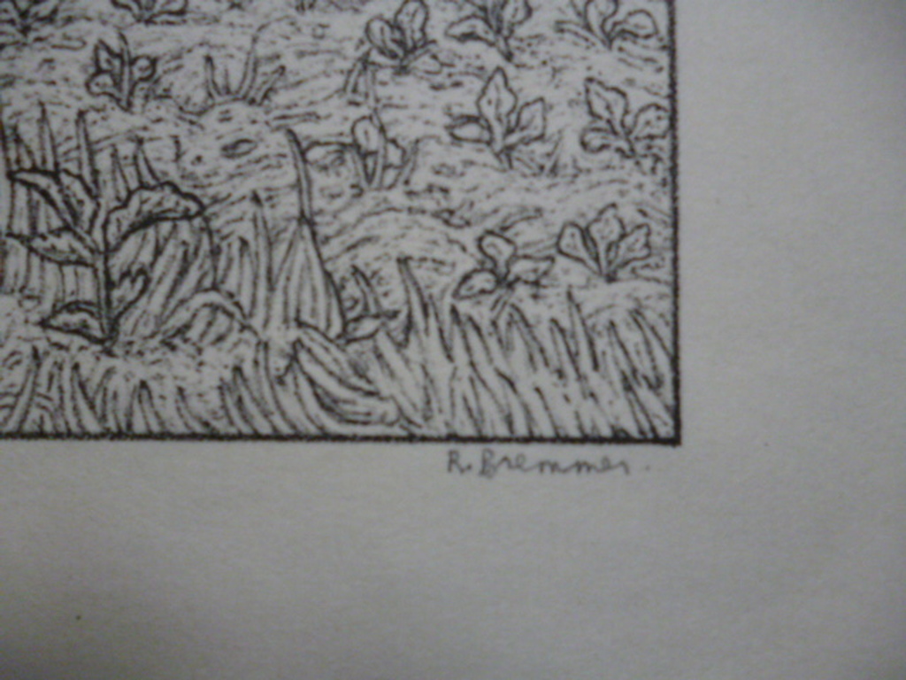 Rudolf Bremmer - litho - Tuin  met tuinder kopen? Bied vanaf 40!