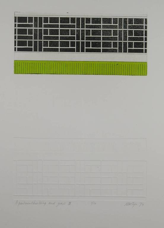 Martijn Ruiter: Ets en aquatint en reliefdruk, Apartmentbuilding and grass IV kopen? Bied vanaf 1!