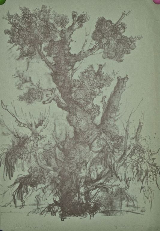 Dirkje Kuik: Litho. Boom kopen? Bied vanaf 50!