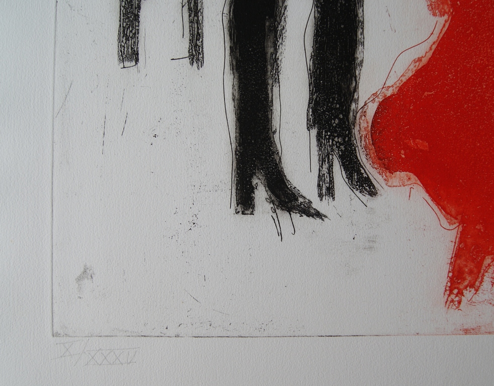 Jan Sierhuis - Jan Sierhuis prachtige kleuren ets - 1988 kopen? Bied vanaf 115!