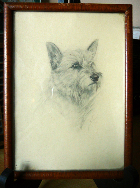 Nieuwe Toonkamers Kunstnijverheid: Hondekopje -potlood circa 1915- kopen? Bied vanaf 20!