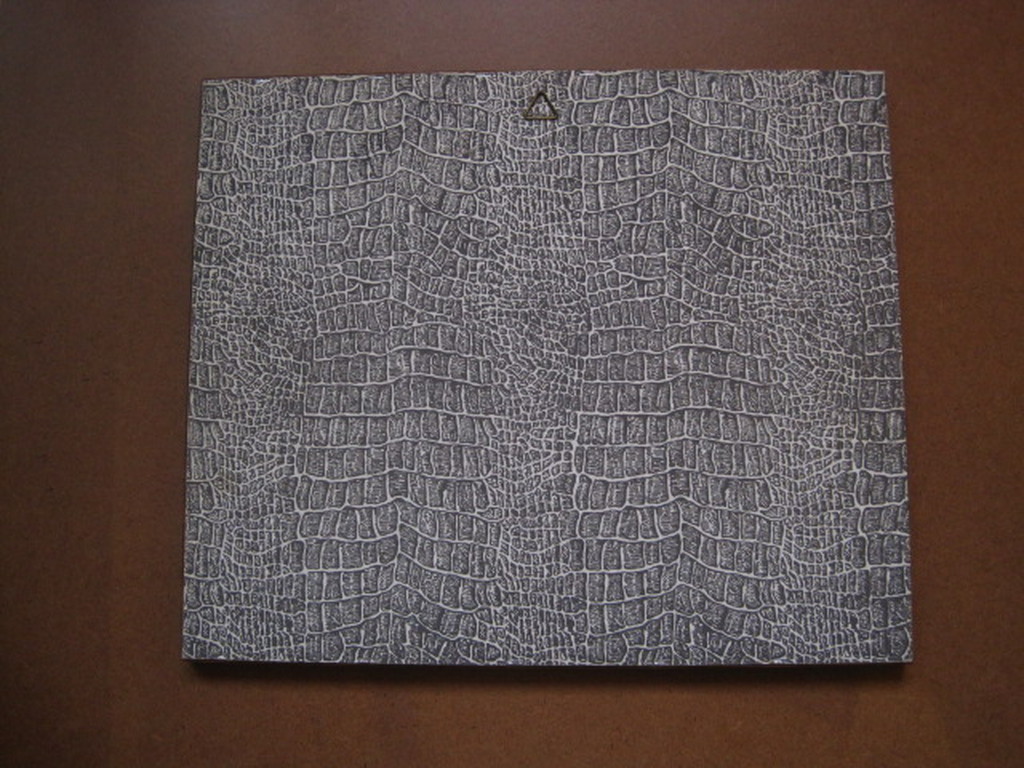 antieke aquarel "mobilisatie Nederlandse leger" onduidelijk gesigneerd 1914 kopen? Bied vanaf 1!