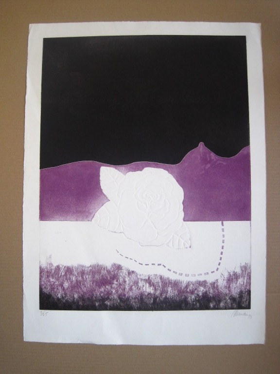 Fraaie diepdruk Litho van Spaans Hollandse graficus Manuel Menan 1946-1994  kopen? Bied vanaf 1!