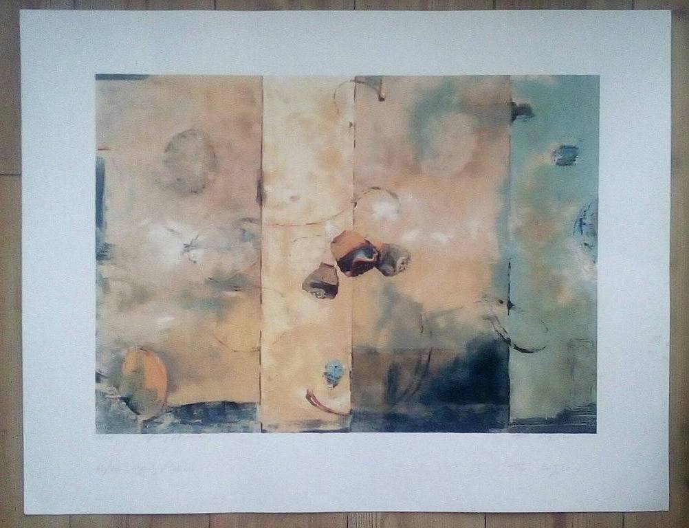 Toon Kuijpers: zeefdruk, Springflower kopen? Bied vanaf 40!