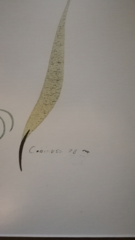 Codiness, gemengde techniek, eagle kopen? Bied vanaf 1!