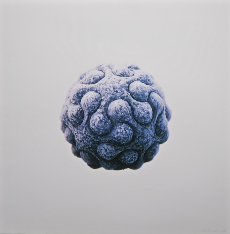 Coen Pausma: Zeefdruk, Zonder titel kopen? Bied vanaf 1!