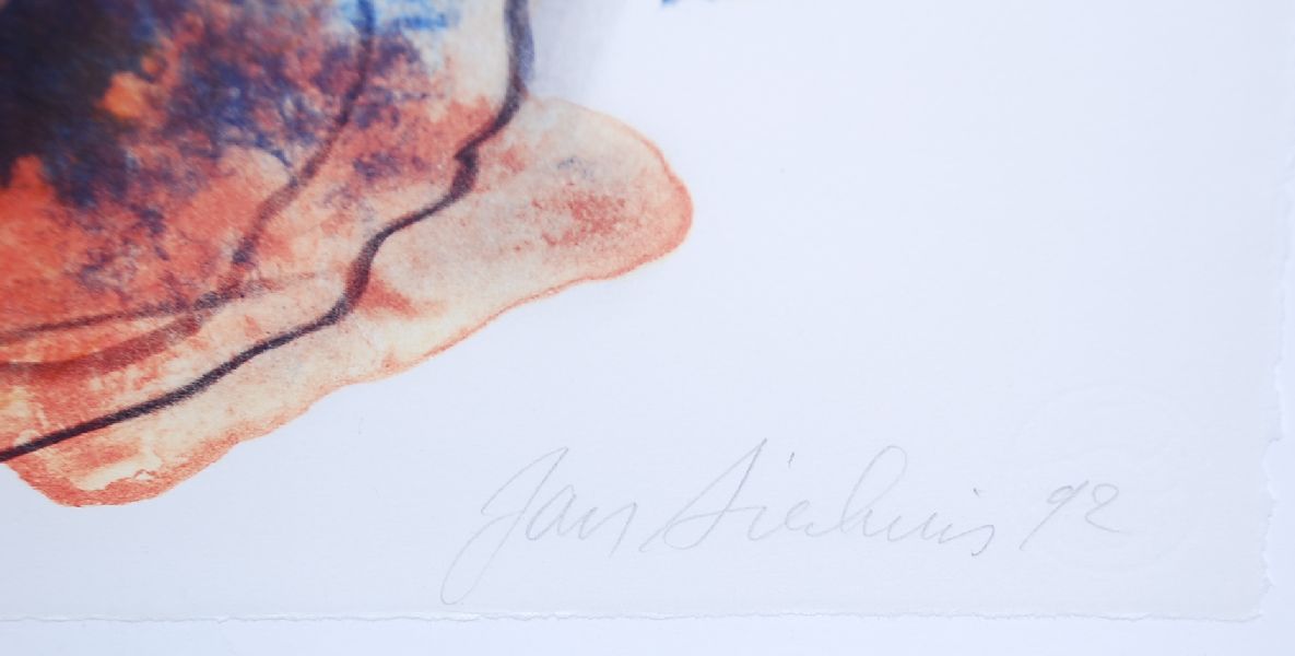 Jan Sierhuis: Kleurenlitho Maskers kopen? Bied vanaf 100!