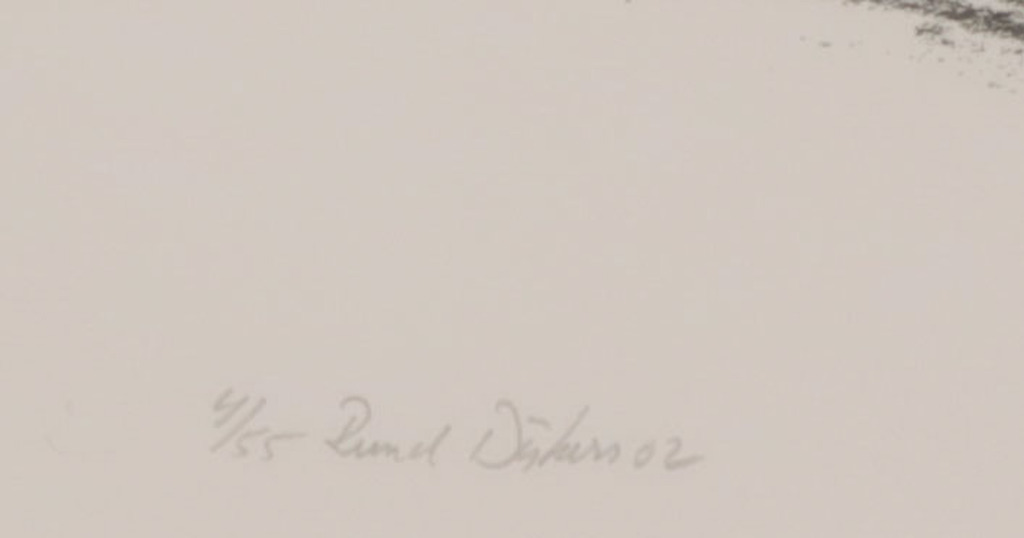 Ruud Dijkers: Litho, Z.T. - Ingelijst kopen? Bied vanaf 1!