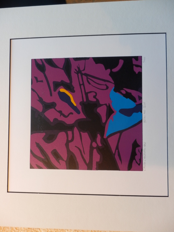 CALVIN CHRISTIAAN  ZEEFDRUK ÝELLOW AND BLUE kopen? Bied vanaf 1!